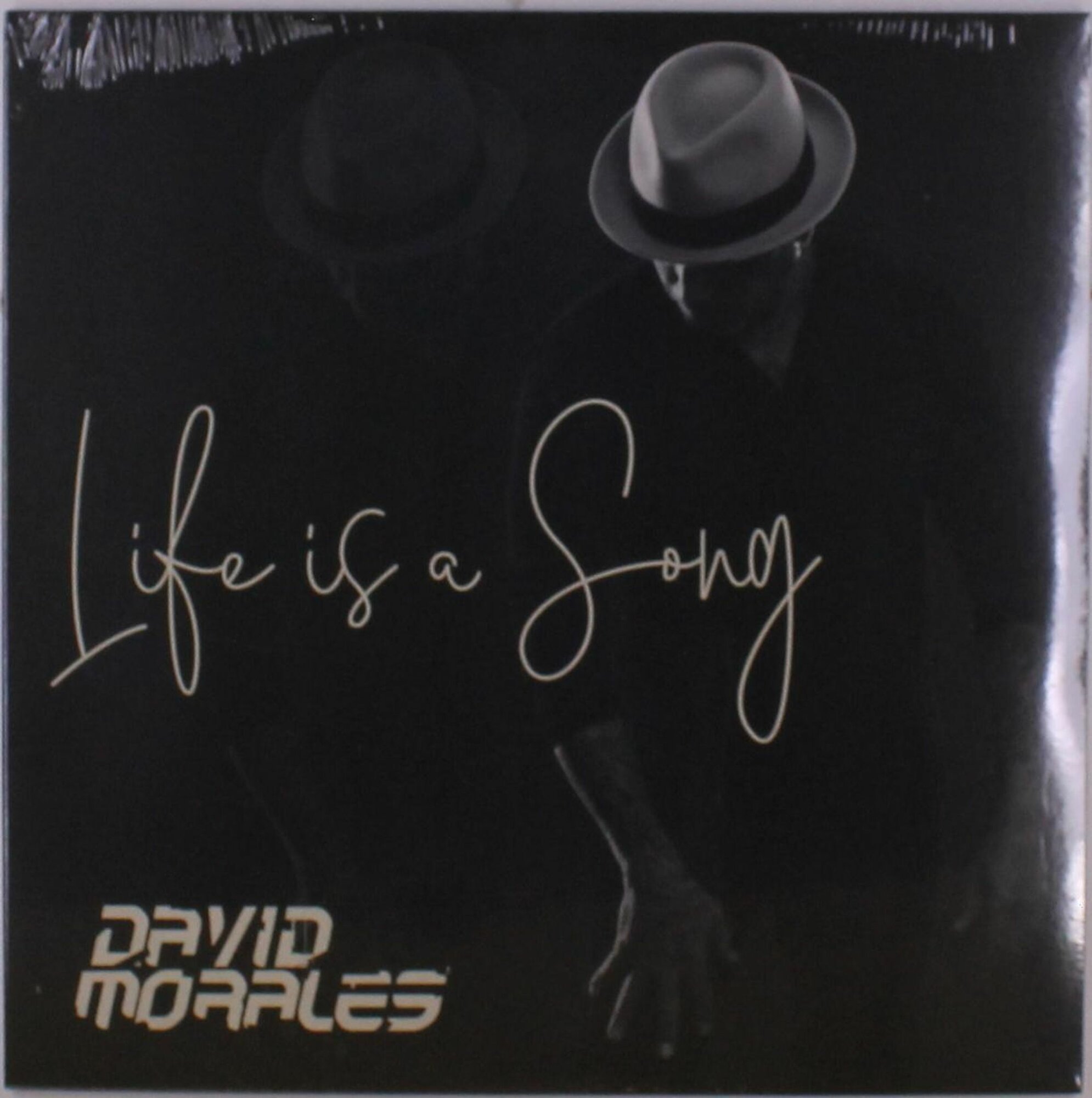 Виниловая пластинка David Morales - Life Is A Song (2 LP) (2 LP)