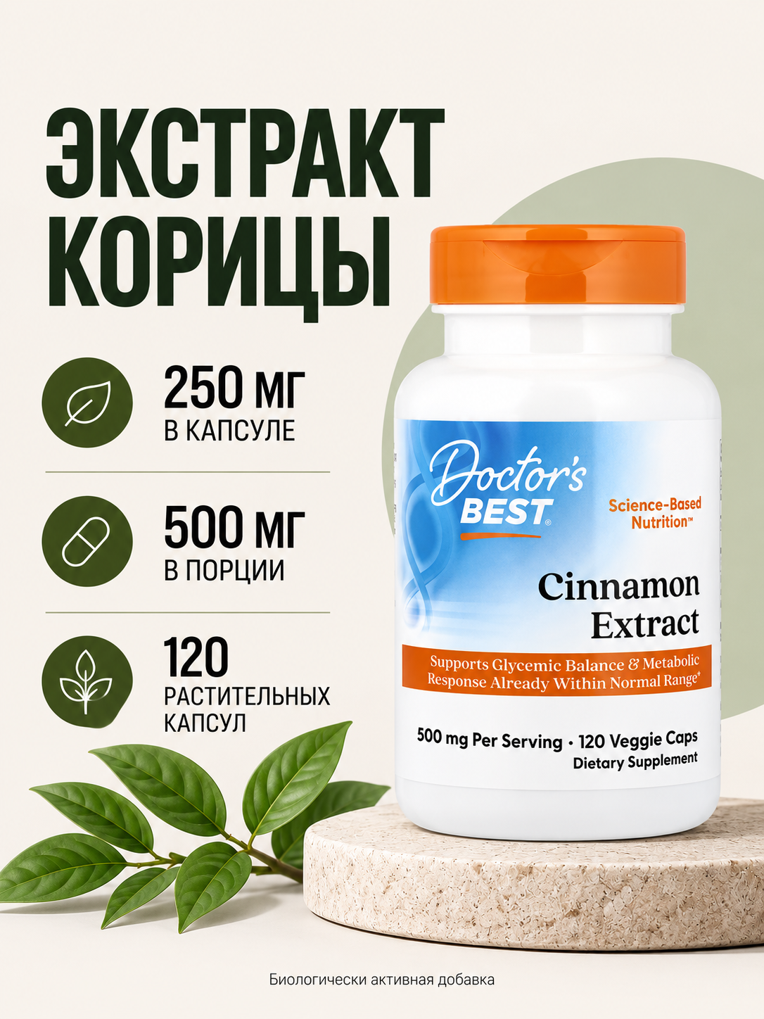 Doctor's Best, Экстракт корицы, Cinnamon Extract, 250 мг, 120 растительных капсул
