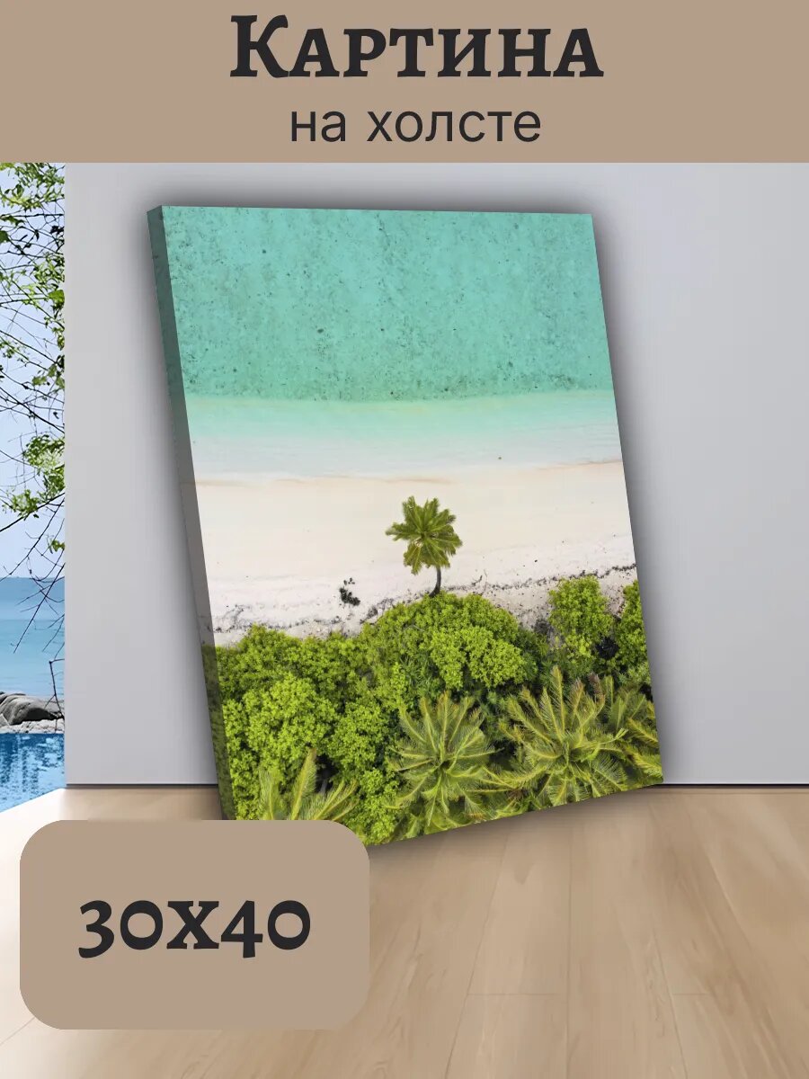Картина Постер Мальдивы Maldives 30x40 аэрофотоснимок