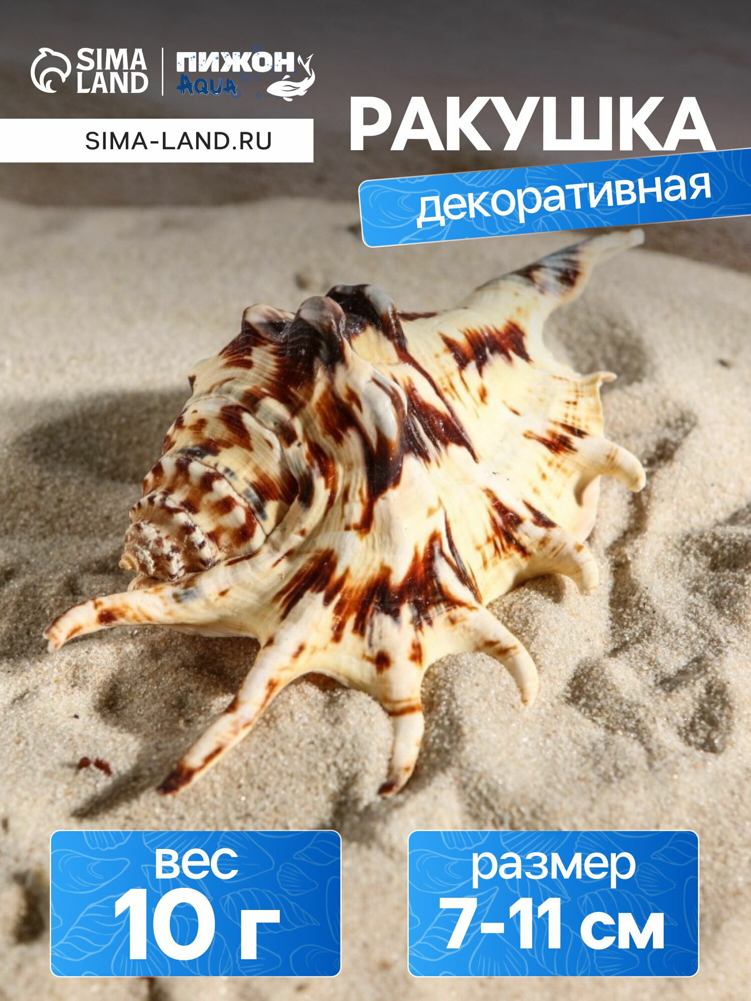 Ракушка декоративная, 7-11 см, вид декора: ракушки, цвет: коричневый