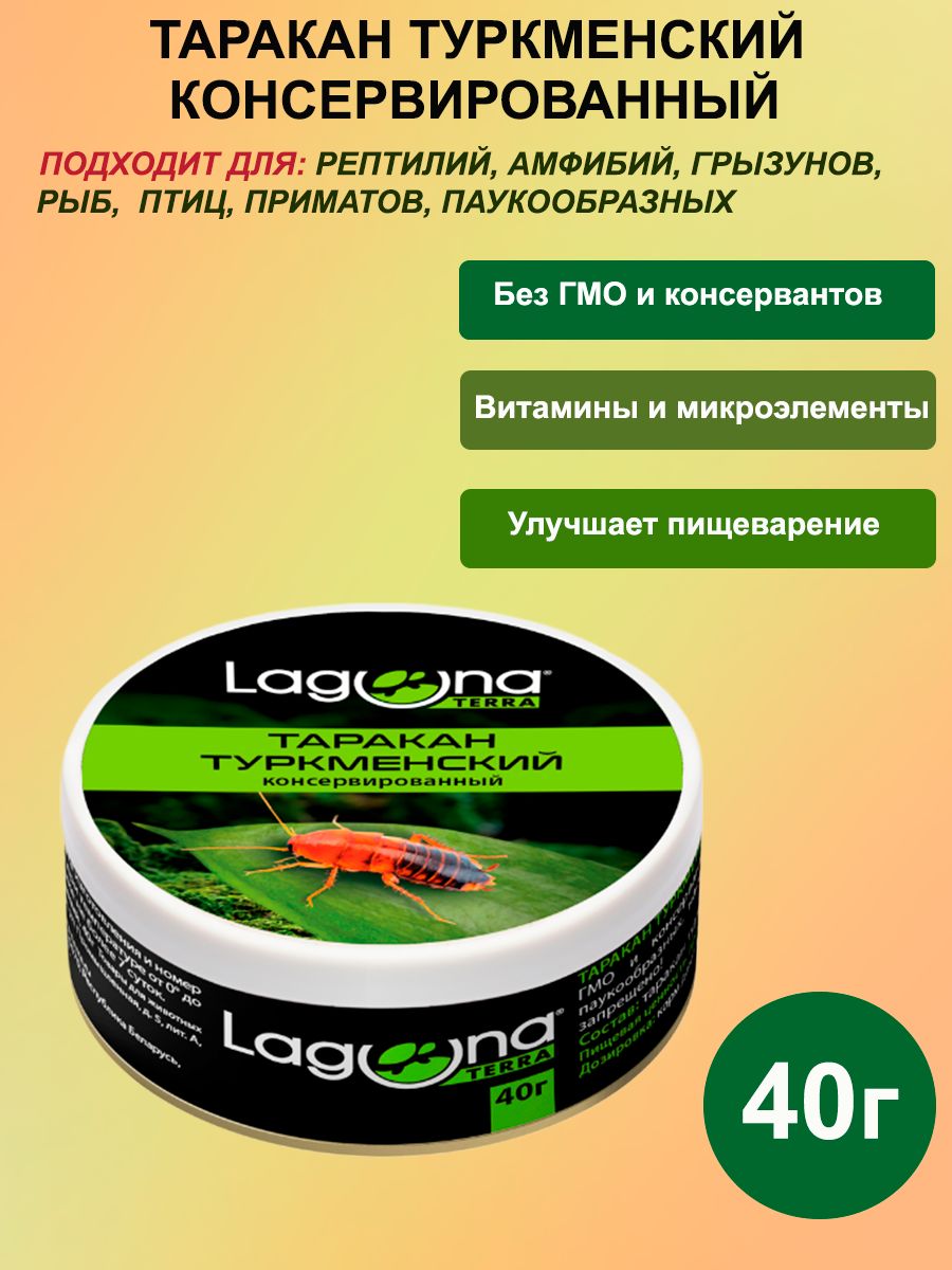 Таракан туркменский консервированный Laguna TERRA, 40г