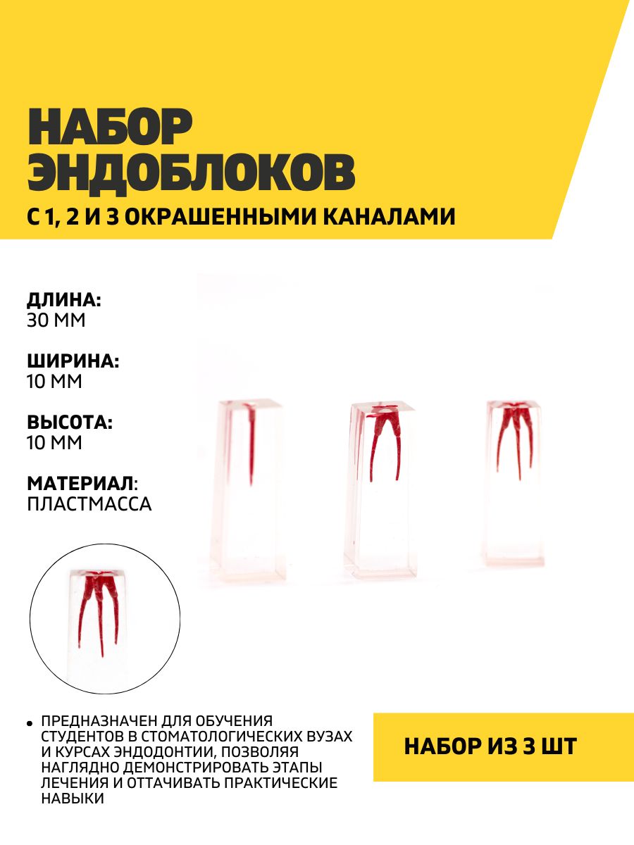 Учебная модель набор из 3 эндоблоков с 1, 2 и 3 окрашенными каналами