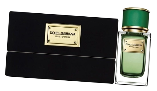 Парфюмерная вода 50 мл Velvet Cypress Dolce & Gabbana для женщин и мужчин - Кипарис Вельвет