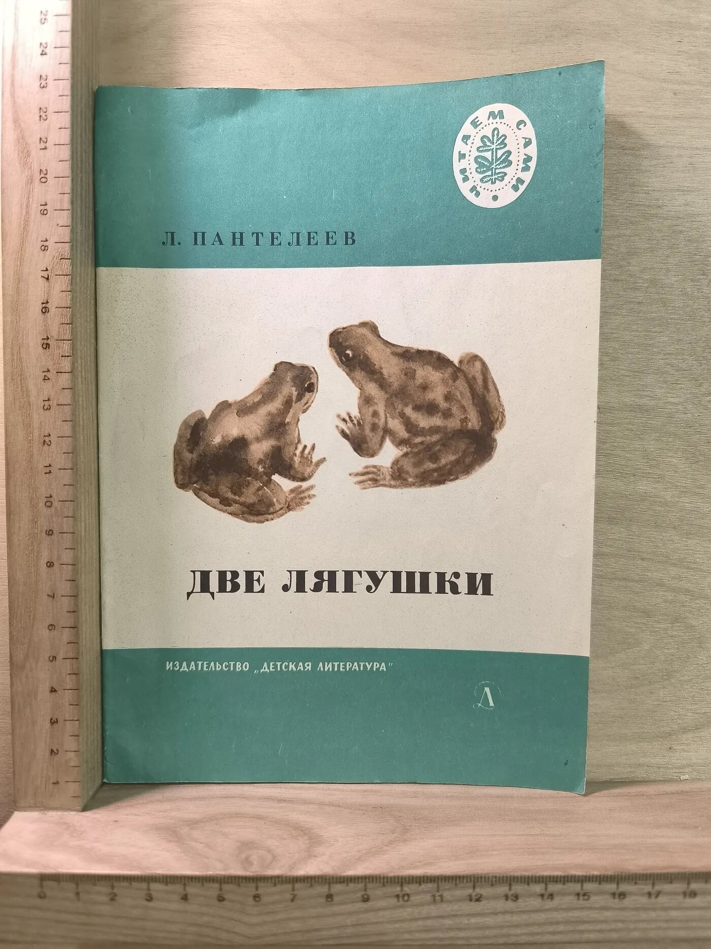 Две лягушки