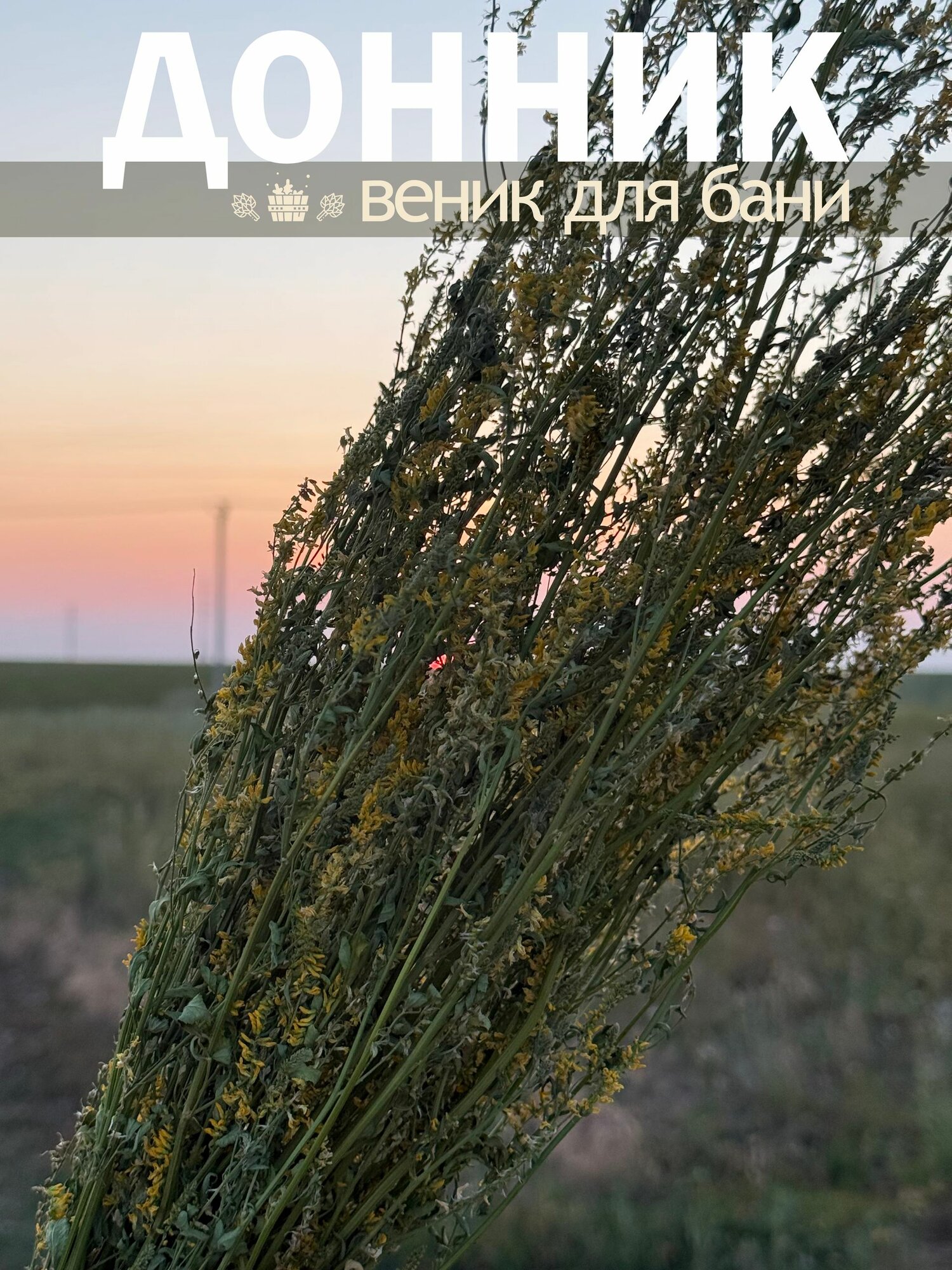 Веник из донника для бани