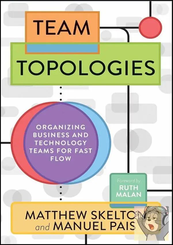 Team Topologies by Matthew Skelton & Manuel Pais Business IT Management English Book