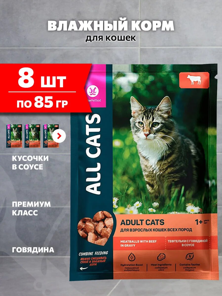 Корм влажный All Cats для взрослых кошек тефтельки, говядина в соусе, 85 г 8 шт