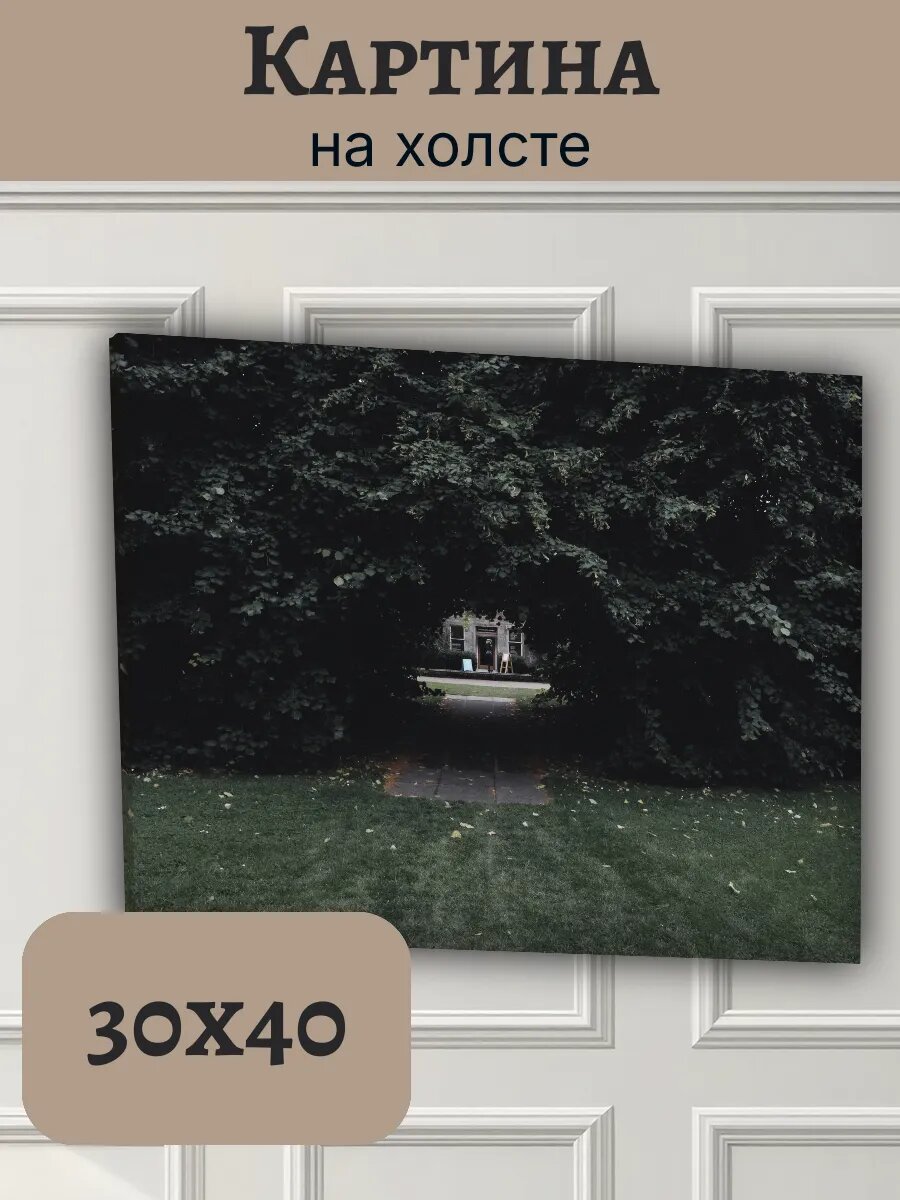 Картина Шотландия Scotland 30x40 в старинный парк