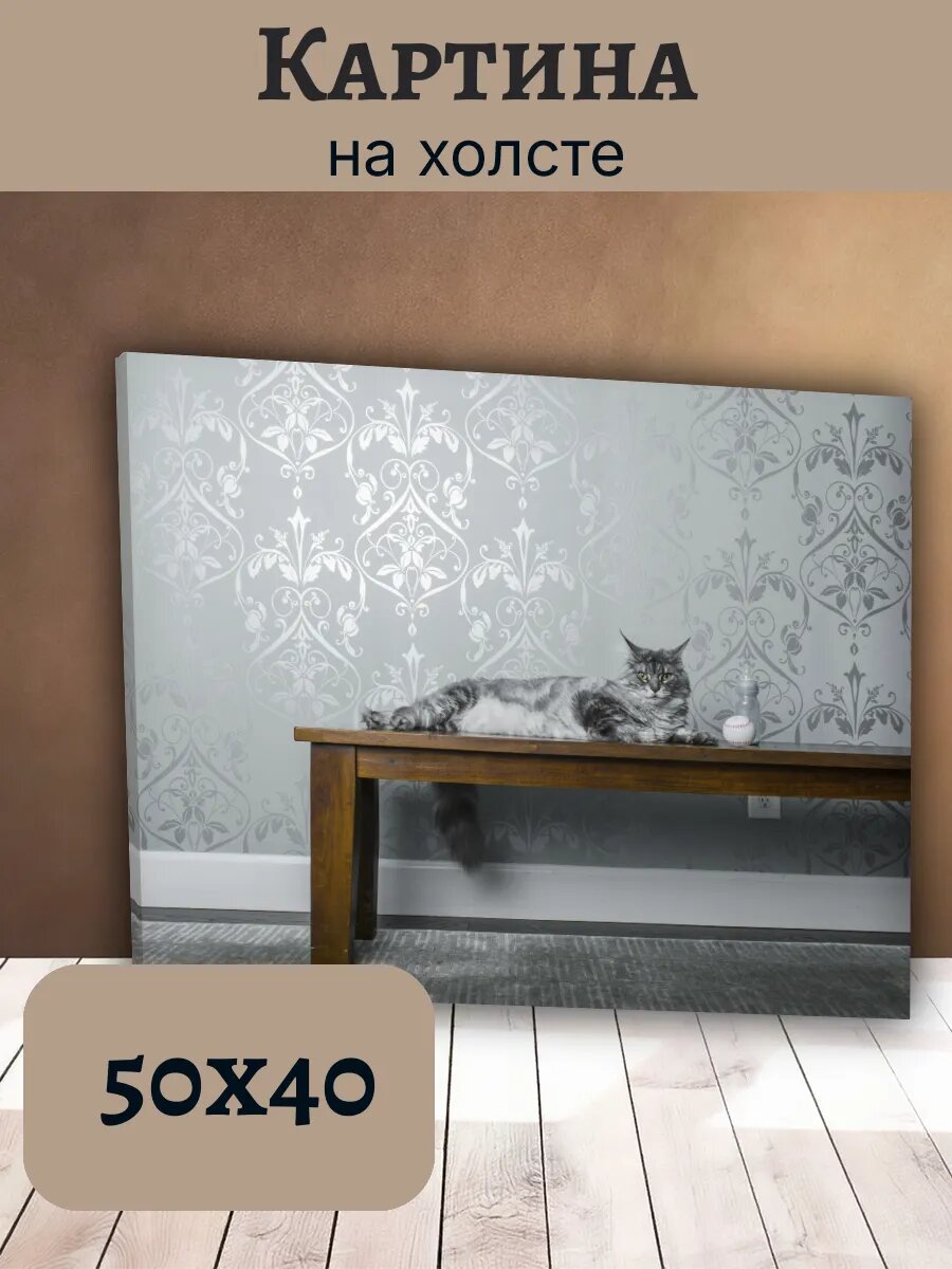 Картина Кот Кошка Cat 40x50 интерьерная с пушистым серым