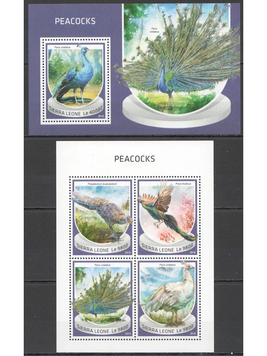 Марки 2018 год Сьерра-Леоне Птицы Павлины Фауна #10061-4+Бл1521 MNH