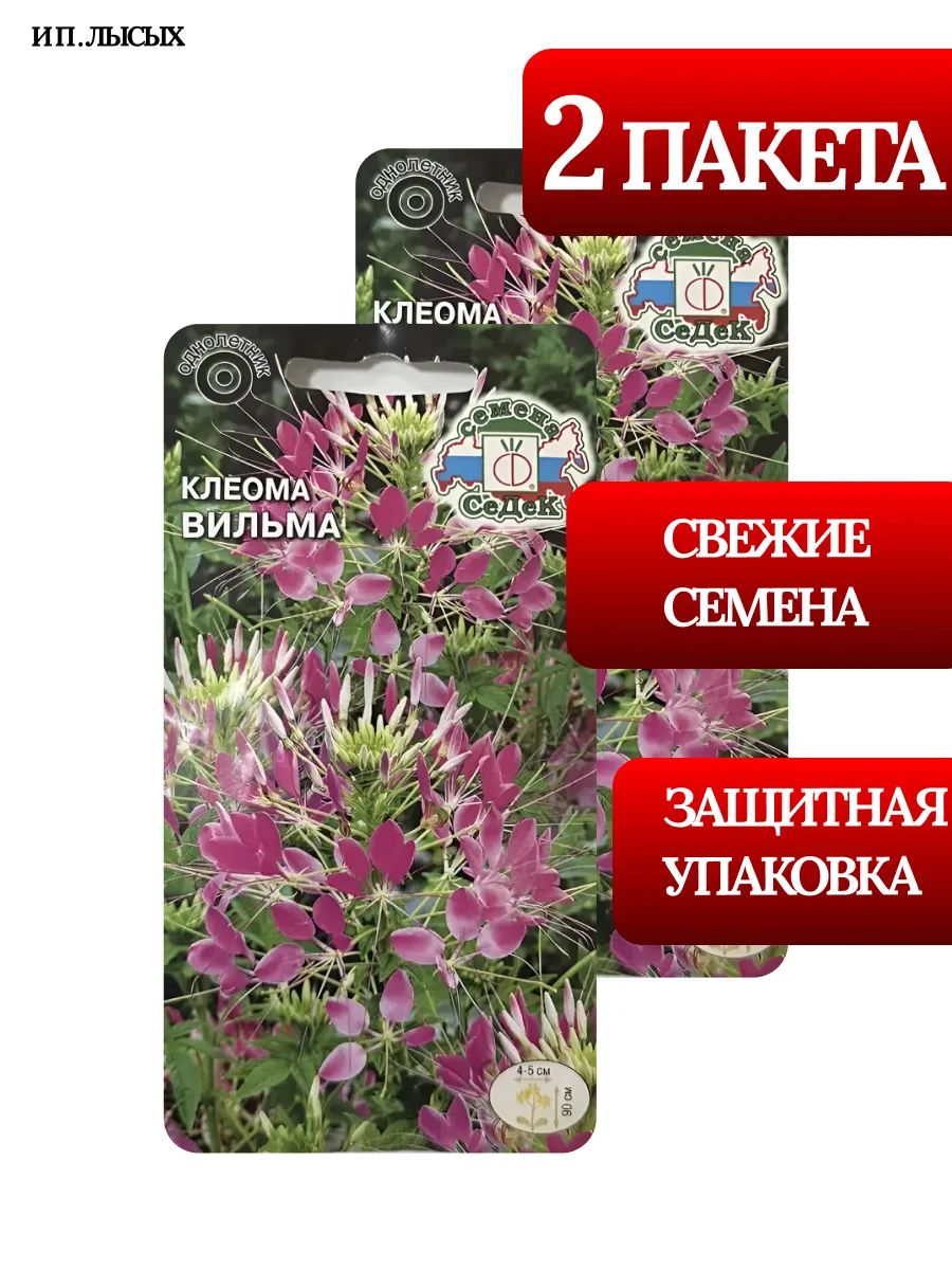 Семена Клеома "Вильма"