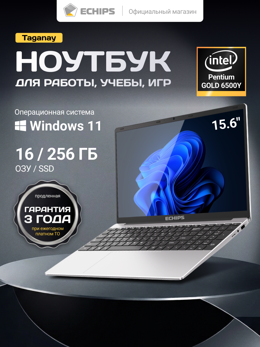 15.6" Ноутбук ECHIPS Taganay Intel Pentium GOLD 6500Y, 2 ядра, 16/256 ГБ SSD, IPS 1920Х1080, Intel UHD Graphics, Win 11
