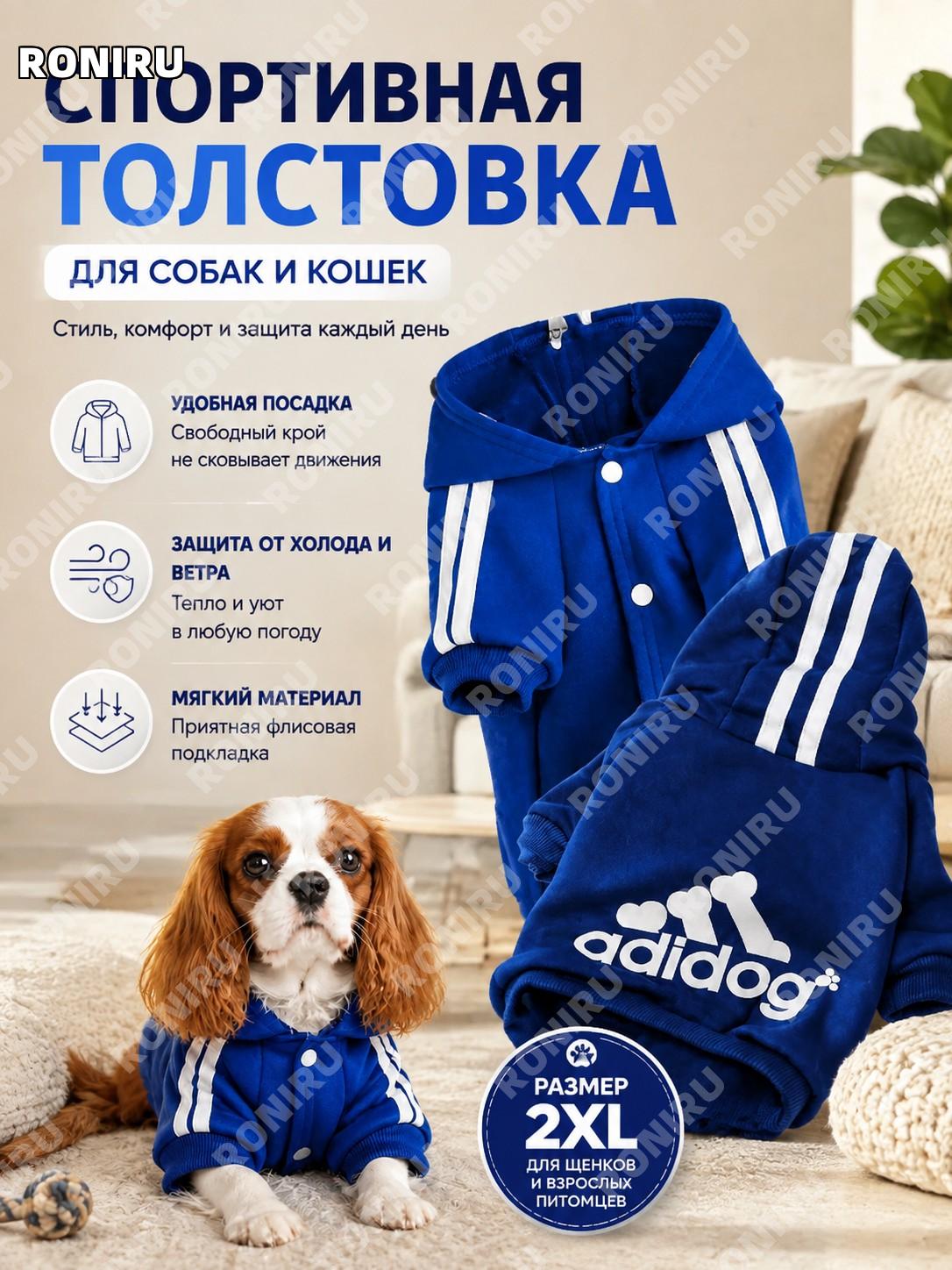 Спортивная толстовка для собак и кошек с капюшоном, яркая всесезонная одежда для щенков и взрослых питомцев в стиле