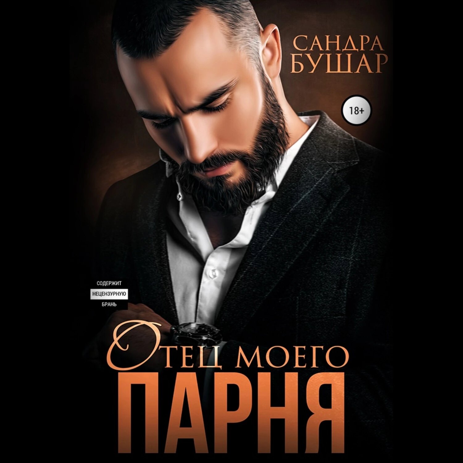 Отец моего парня [Аудиокнига]