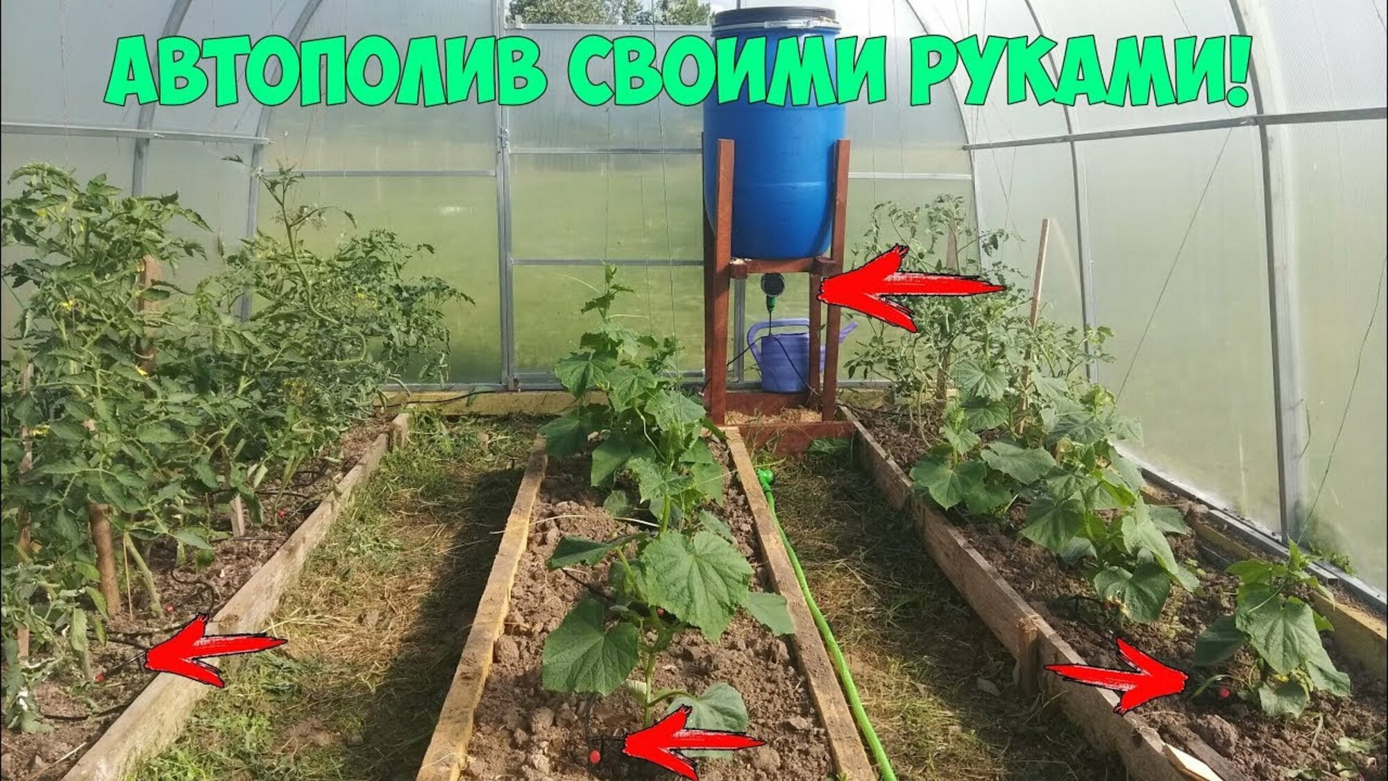 Устройство мощный капельный самотечный полив 60 растений участка теплицы из бочки CП60
