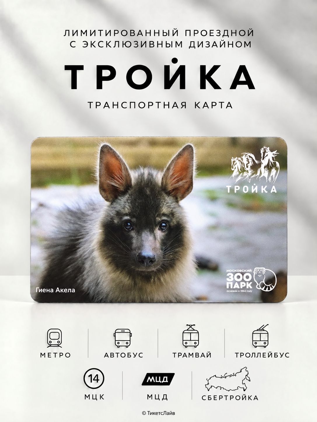 Карта Тройка - Гиена Акела. Московский зоопарк (№2)