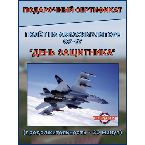 Подарочный сертификат день рождения для мужчин и женщин, полет на авиатренажере истребителя Су-27 Москве, подарок впечатление, День защитника 30 мин