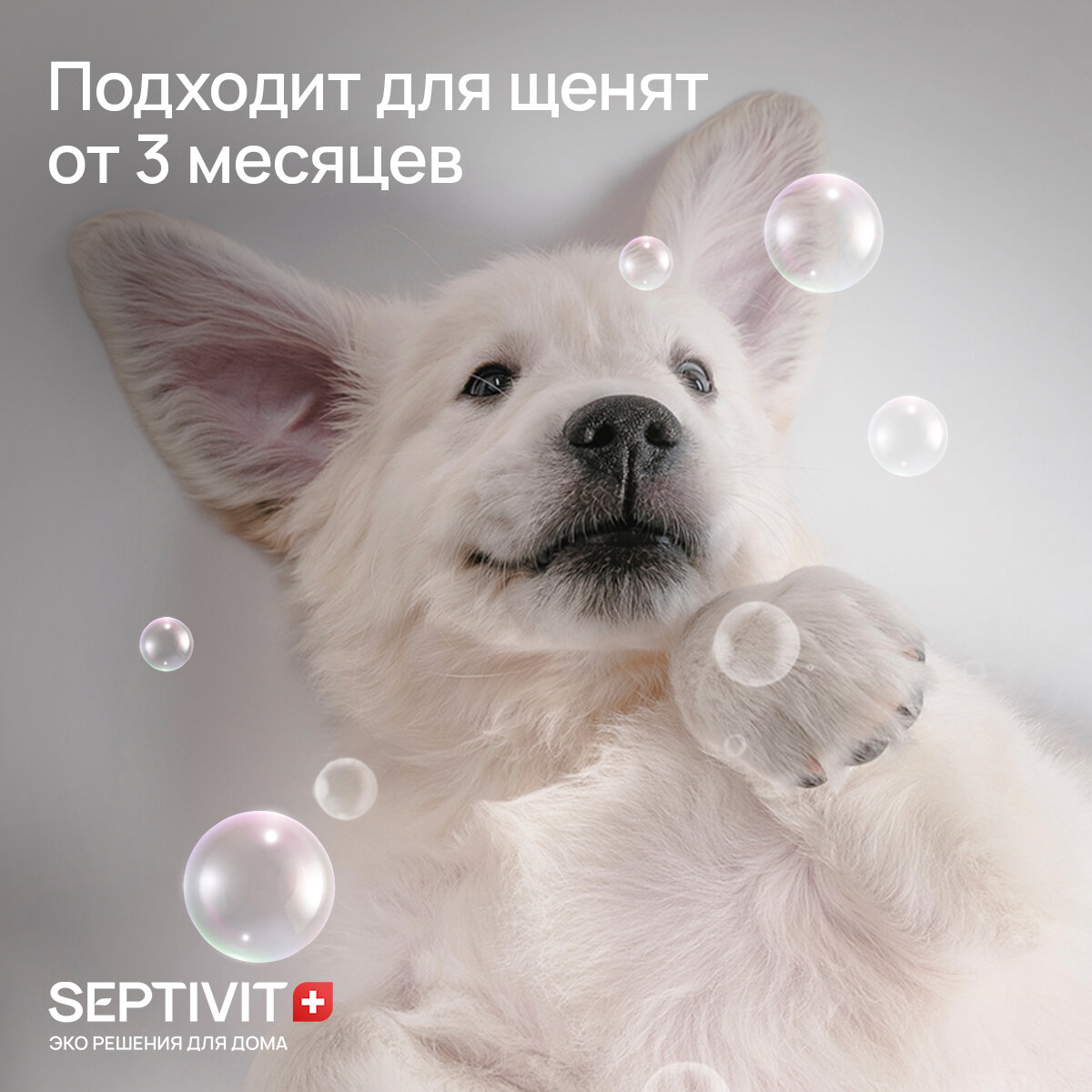 Шампунь для собак 1000 мл Septivit Premium - фотография № 6