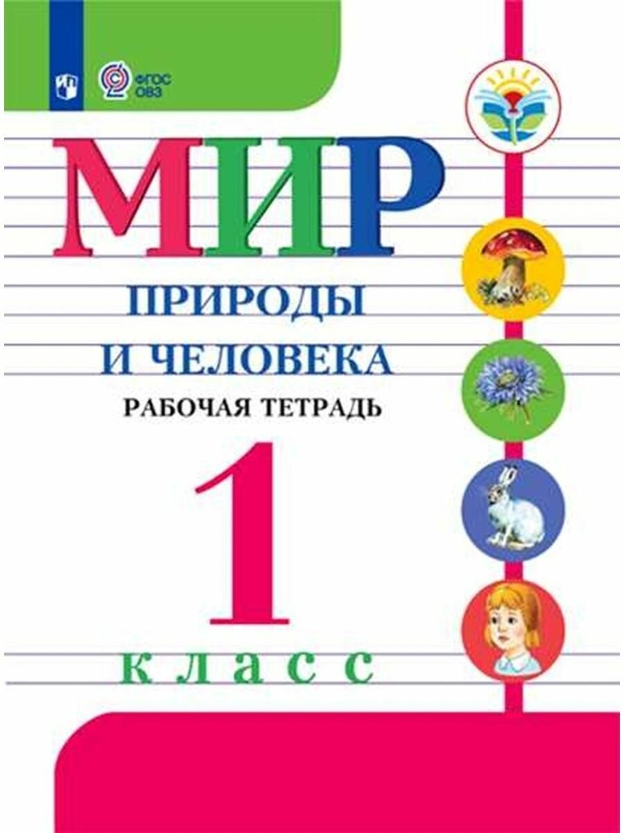 Мир природы и человека. 1 класс. Проверочные работы. Адаптированные программы. ОВЗ - фото №2