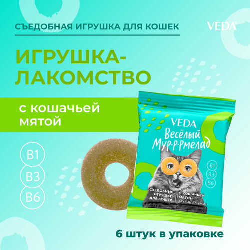 Веселый МУР-Р-РМЕЛАД съедобные игрушки (лакомство) для кошек с кошачьей мятой, 6 шт , VEDA