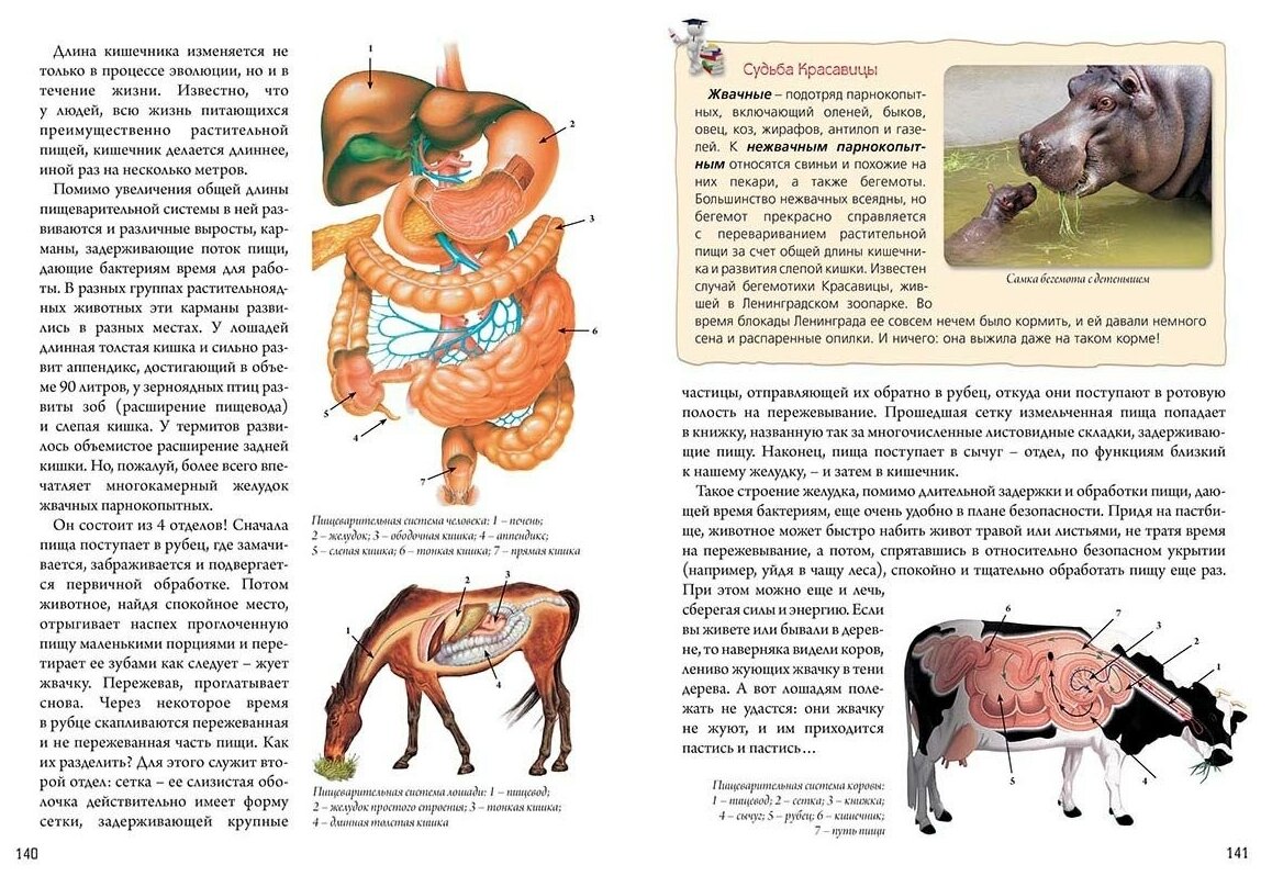 Нескучная биология с задачами и решениями - фото №6