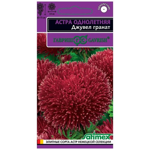 Астра Джувел Гранат, игольчато-коготковая, Эксклюзив