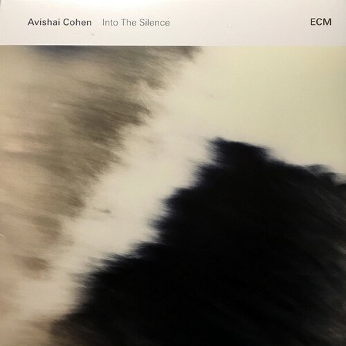 Виниловая пластинка Avishai E. Cohen / Into The Silence (2LP) allen anthea life death and biscuits