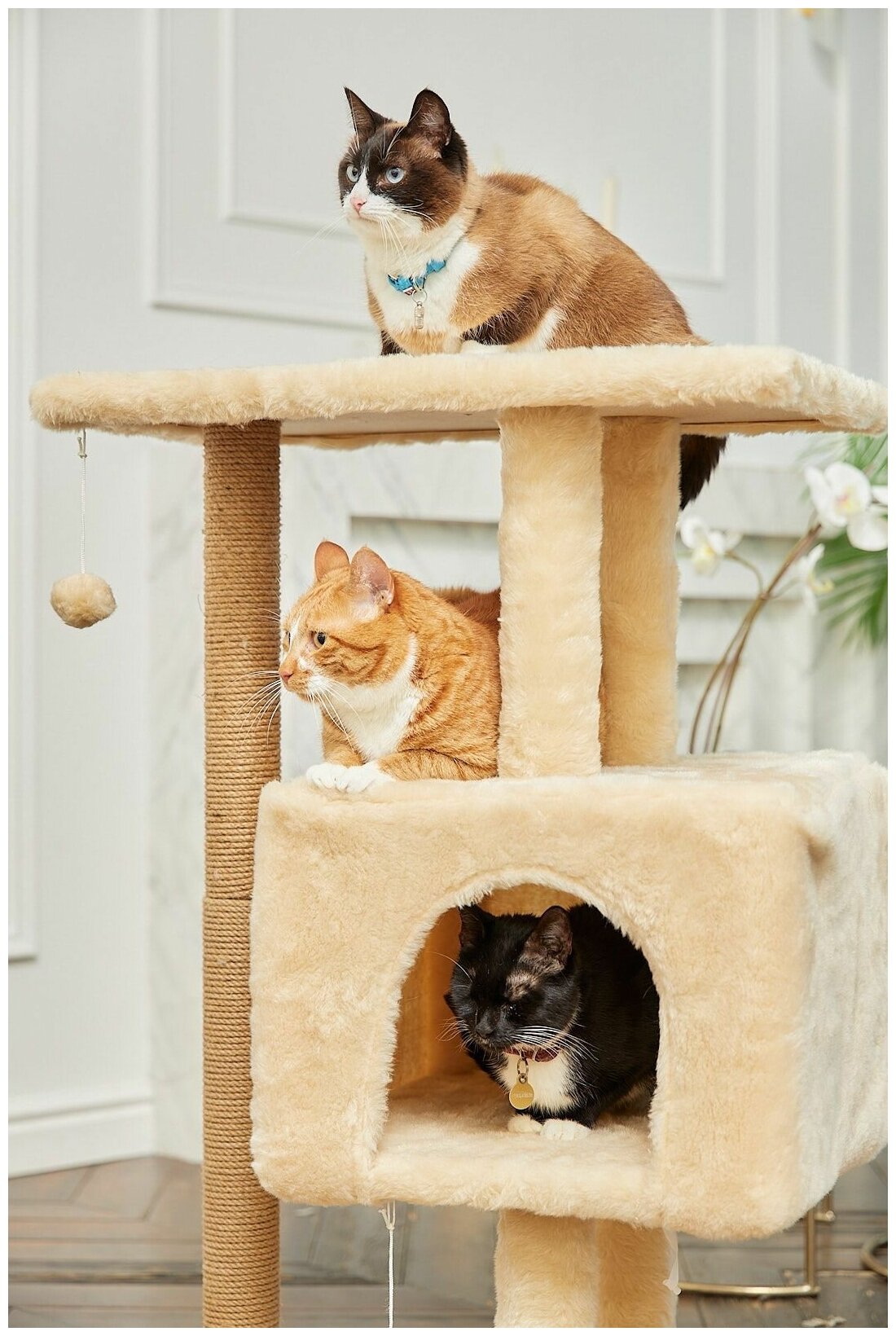 Когтеточка для кошки с домиком 40х40 см и большая лежанка 61х41 см, для крупных кошек - фотография № 12