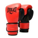 Боксерские перчатки Everlast Powerlock PU 2 - изображение