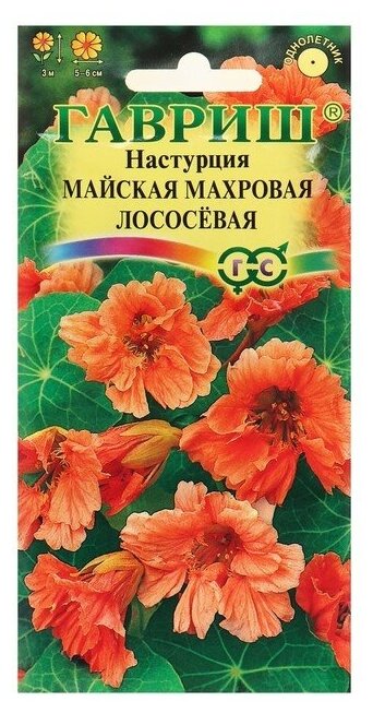 Семена цветов Настурция "Майская" махровая, лососевая, О, 1,0 г