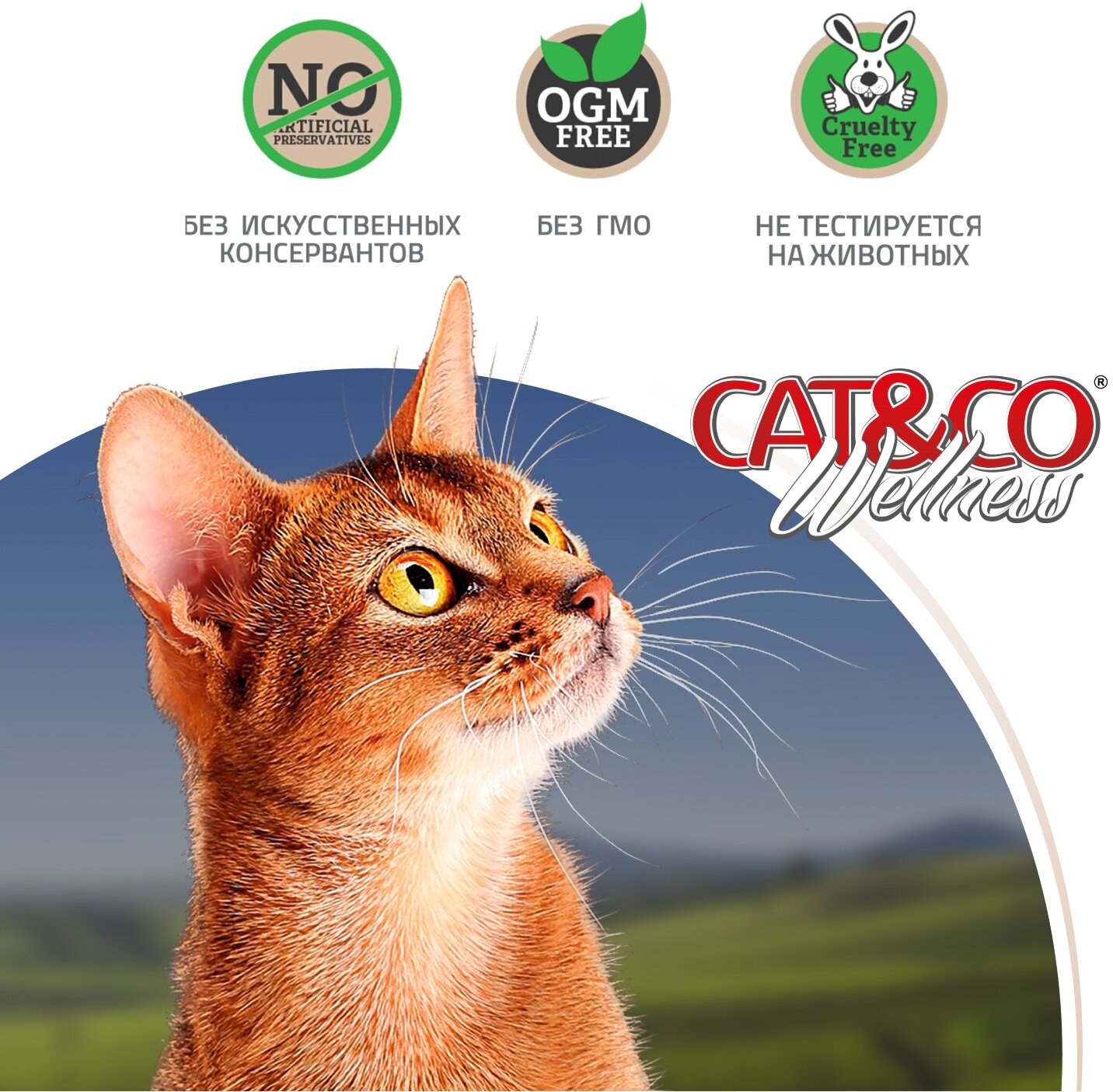 Wellness Cat&Co Adult Hairball корм для взрослых кошек для вывода шерсти (Курица и рис, 1,5 кг.) - фото №2