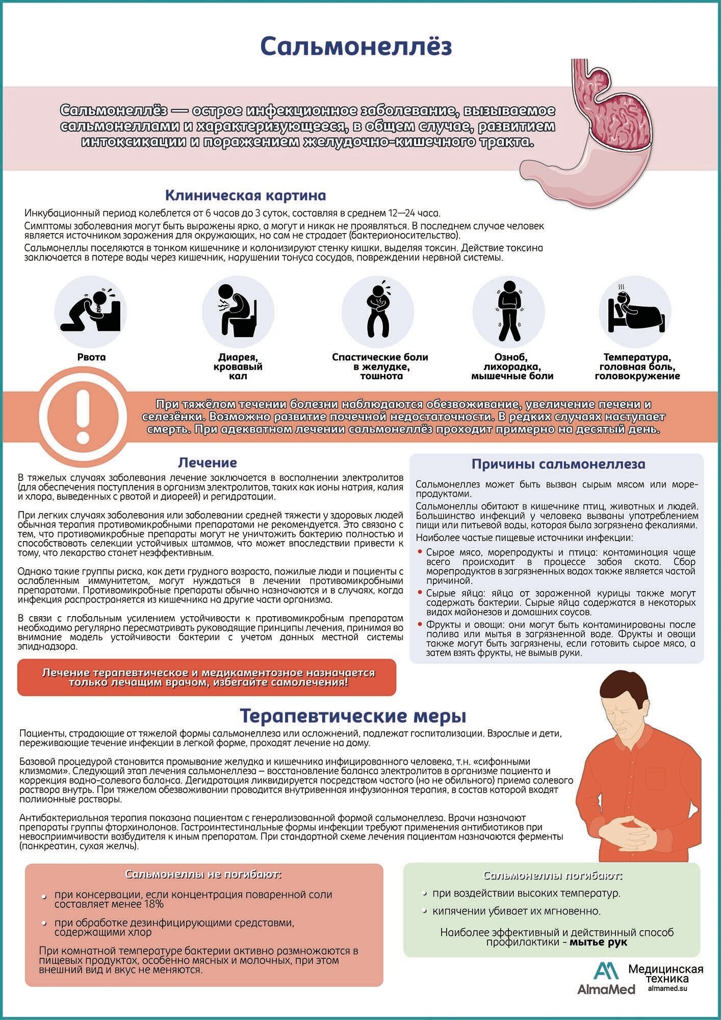 Сальмонеллез медицинский плакат, глянцевая фотобумага от 200 г/кв. м, размер A1+
