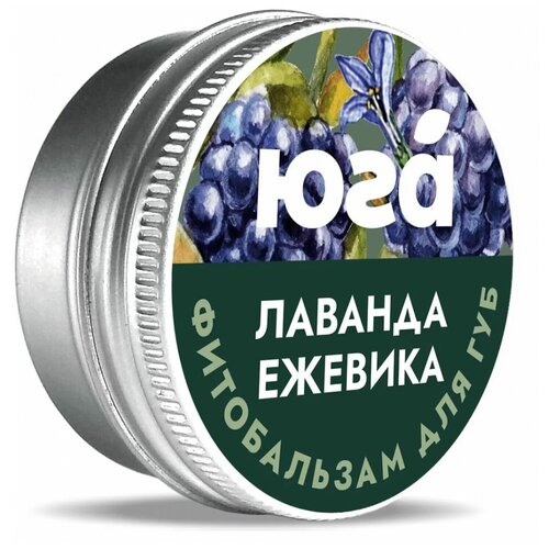 Фитобальзам для губ, Лаванда и ежевика, 10 г, Юга