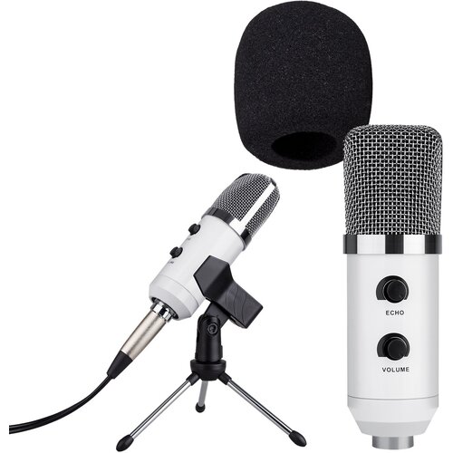 Конденсаторный микрофон BM750 белый серебристый 178900₽