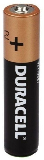 Батарейка Duracell Basic AAA, в упаковке: 12 шт.