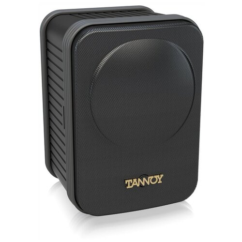 Tannoy CPA 5 акустическая система чёрная 1307500₽