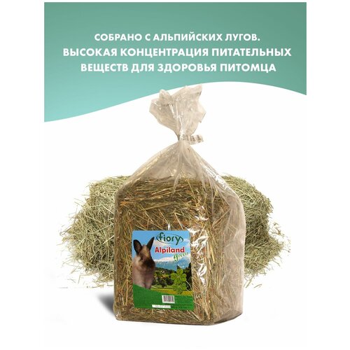 FIORY сено Альпийское Alpiland Green с люцерной 500 г fiory fiory сено альпийское alpiland green с люцерной 500 г