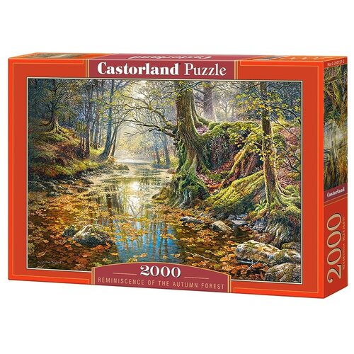 Пазл Castorland Осенний лес, C-200757, 2000 дет., разноцветный пазл castorland букет c 200719 2000 дет разноцветный