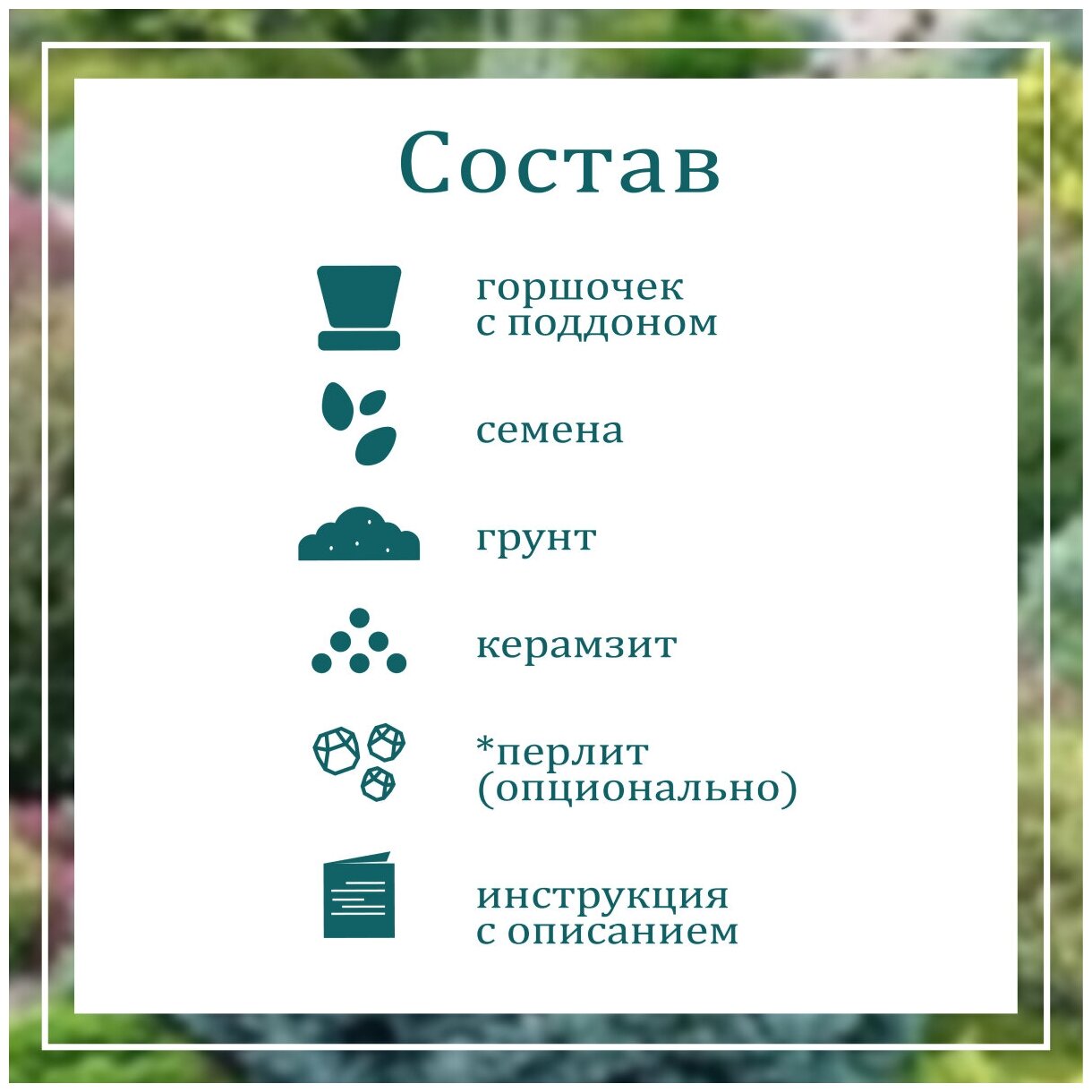 Набор для выращивания растений, Вырасти дерево! Ель канадская голубая - фото №3