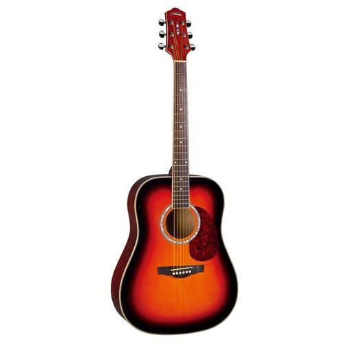 DG220VS Акустическая гитара Naranda эремурус бунге
