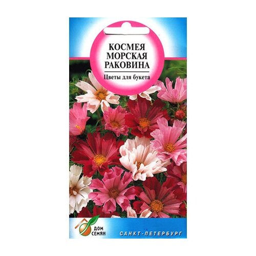 Семена Космея Морская раковина 45шт для дачи, сада, огорода, теплицы / рассады в домашних условиях семена космея махровая смесь 0 5г для дачи сада огорода теплицы рассады в домашних условиях