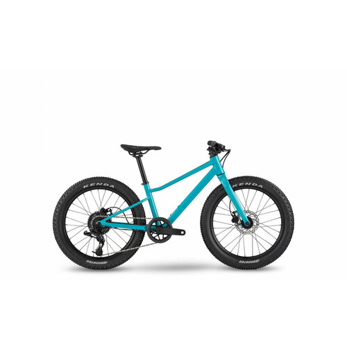 Велосипед BMC Twostroke AL 20 V2 X4 1X8 TURQUOISEBLACKWHITE 2023 30002688 20 10342500₽
