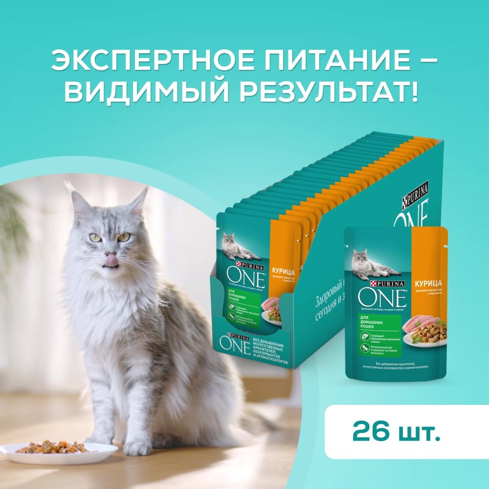 Влажный корм PURINA ONE® для взрослых домашних кошек с курицей и морковью 75 г x 26 шт — фото 1