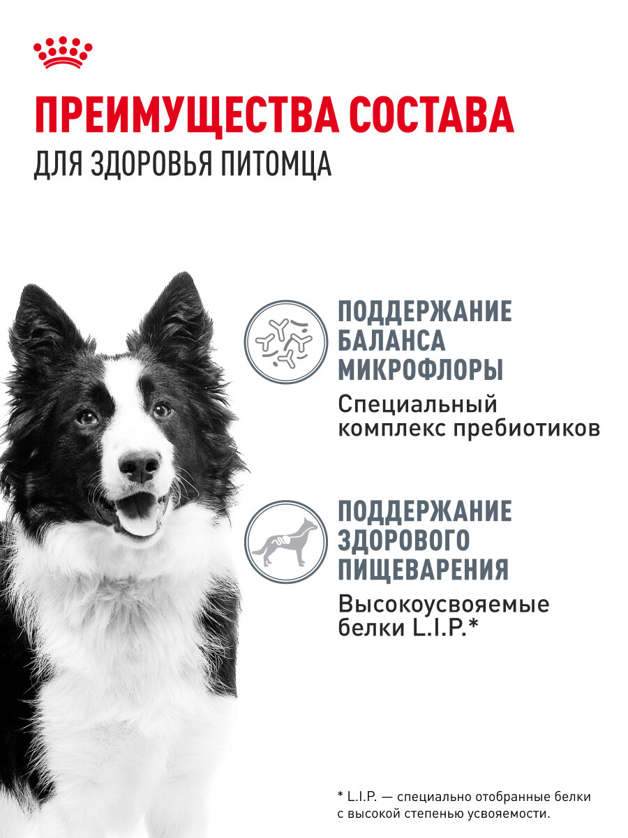 Сухой корм для собак средних пород Royal Canin Medium Digestive Care при чувствительном пищеварении, 3 кг — фото 1