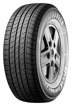 evergreen dynacomfort es380 r17 255/65 110h