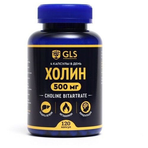 Холин GLS для мозга и похудения, 120 капсул по 400 мг