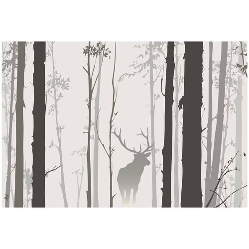 Фотообои URBAN Design Белый туман в лесу, 400 x 270 см