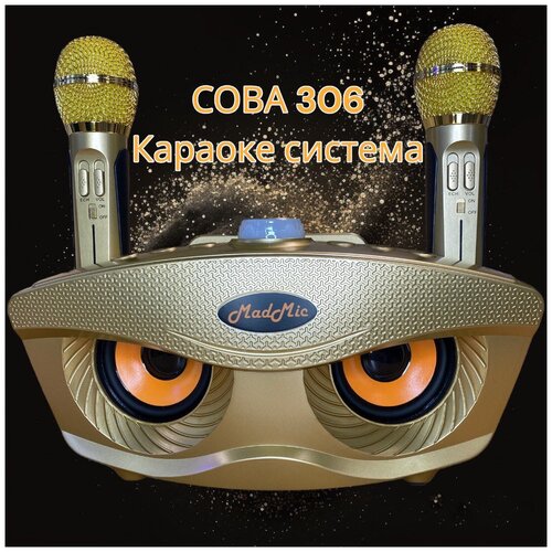 Портативная караоке система "Сова"306 с двумя радиомикрофонами (золотая)