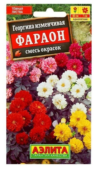 Семена цветов Георгина "Фараон", смесь окрасок, О, 0,3 г