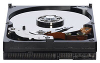 Жесткий диск Western Digital WD Blue 500 GB (WD5000AAKB)